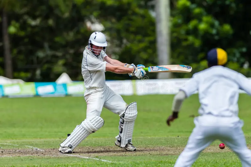 Cricket Championship Finals